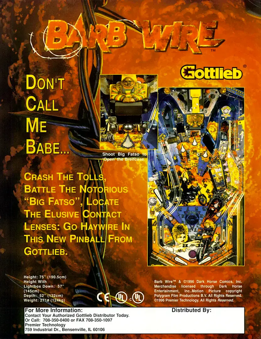 Pinball Flyer Barb Wire 02